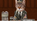 Cats united (2)
