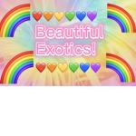 Beautiful Exotics!