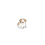 The puppy's love
