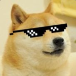 mlg house