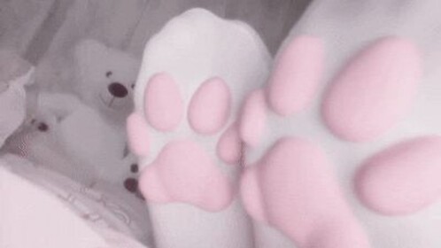 bunnymaxing