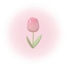 •┈••✦ 💗 ✦••┈•