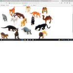 Animal Community