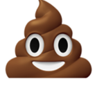 RUMP THE DUMP NATION