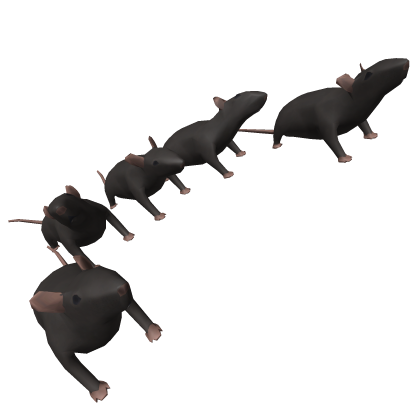 Rat army