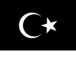 BİR TÜRK KURULUŞU