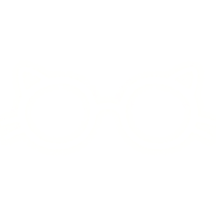 ୨୧ : GLOWING round cat glasses ♡ white emissive