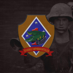 3rd Assault Amphibіan Battalion