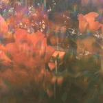 . + * E T H E R E A L * + .