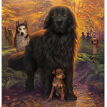 Survivor dogs studios