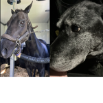 Miss amazing and Maddy