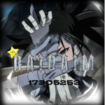 RAIDAIM Official