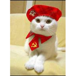 The Communist Cat Clan
