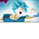 THE SUPER SAIYAN BLUE TEAM