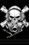 ملك حزب دعثه