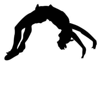 Colorguard, Winterguard, & Pom Practice (Shimmer 