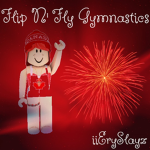 Flip N' Fly Gymnastics!