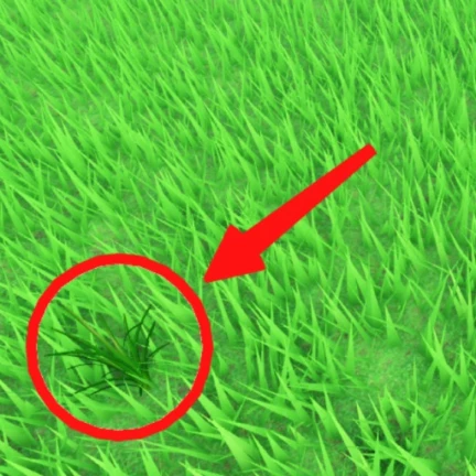 Image du serveur Roblox