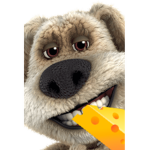 ChEsE fOr My DoG