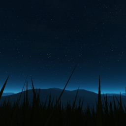 Starry Nights (Showcase)