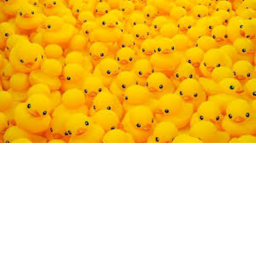 Duck Runner