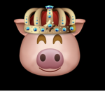 Mr pig king fans