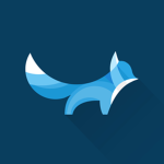 DynFox Incorporated