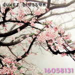 Duvet Blossom