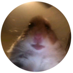 TheBoiGroup