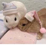 surreal.