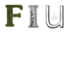 F.I.U (Federal Intellegence Union)