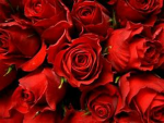RubyRedRose