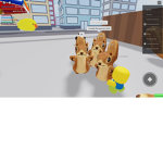 Squirrel Hangout