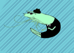 Shrimp Business studios