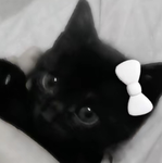BeaniebooPLAYER
