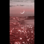 hangout w/ limiteds and korblox??