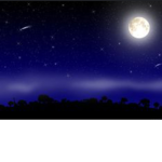 Midnight Kingdom Castle