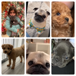 Charligroup