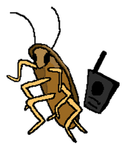 Find The Roaches