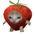 Dinoteru1