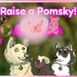 Raise a Pomsky