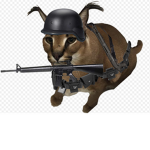 Sussy Cat Security Force