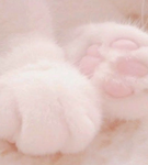 ‘pawxi