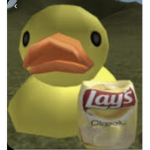 The love_ducks