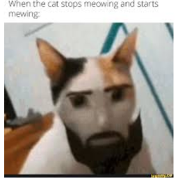 Mewing story(Ultra meaty💪💪💪)
