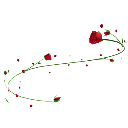 Rose Aura