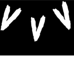 void’s stud
