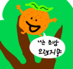 오렌이의 그룹