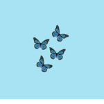 Aesthetic • Butterfly • Group