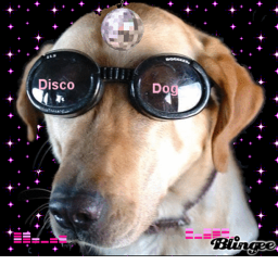 PuppyDog Disco Dance Off!!